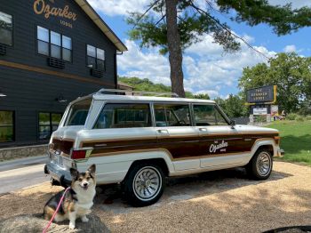 pet stay at Ozarker Lodge