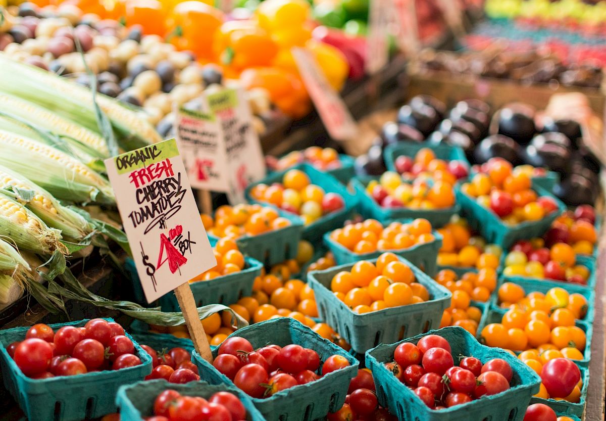 The Ultimate Branson Summer Bucket List: 10 Must-Do Activities